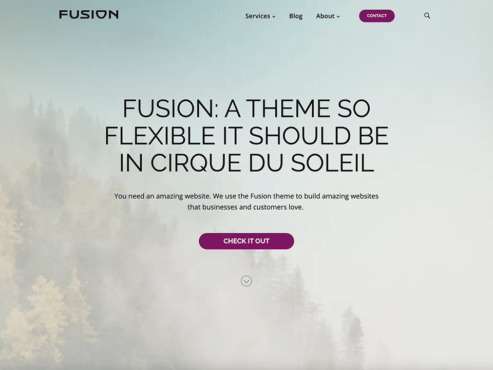 Fusion Pro theme